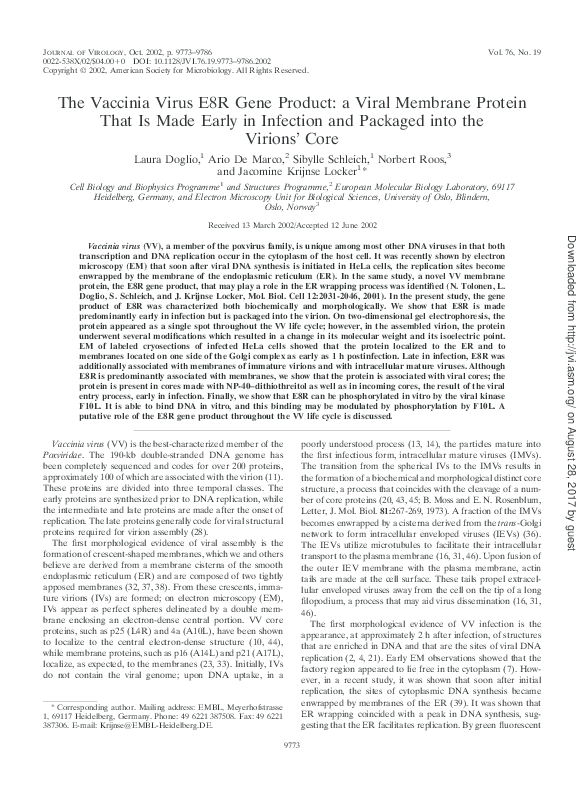 (PDF) The Vaccinia Virus E8R Gene Product: a Viral Membrane Protein ...