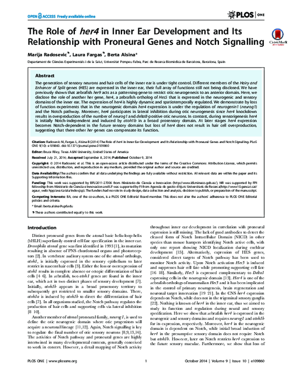 (PDF) The Role of her4 in Inner Ear Development and Its Relationship ...
