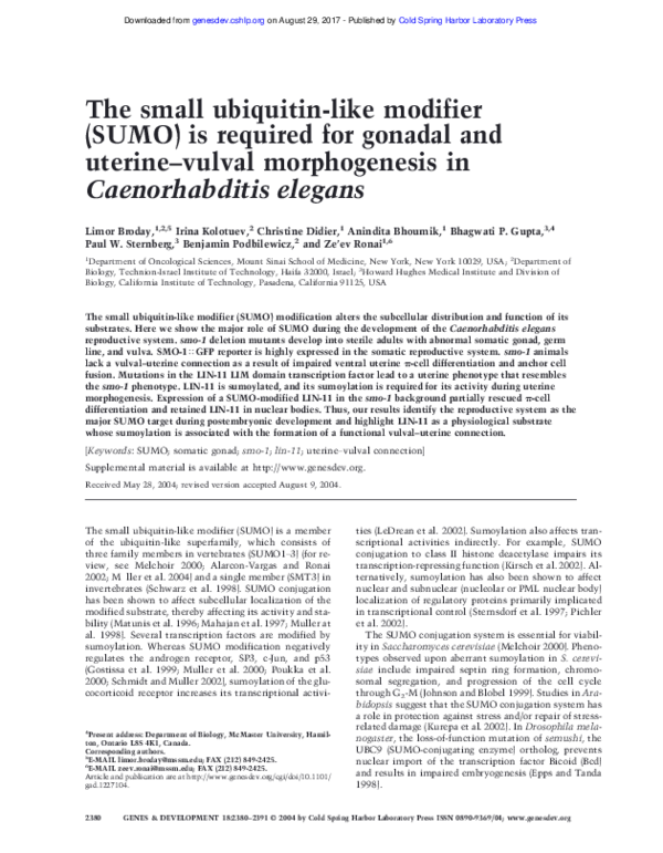 (PDF) The small ubiquitin-like modifier (SUMO) is required for gonadal ...