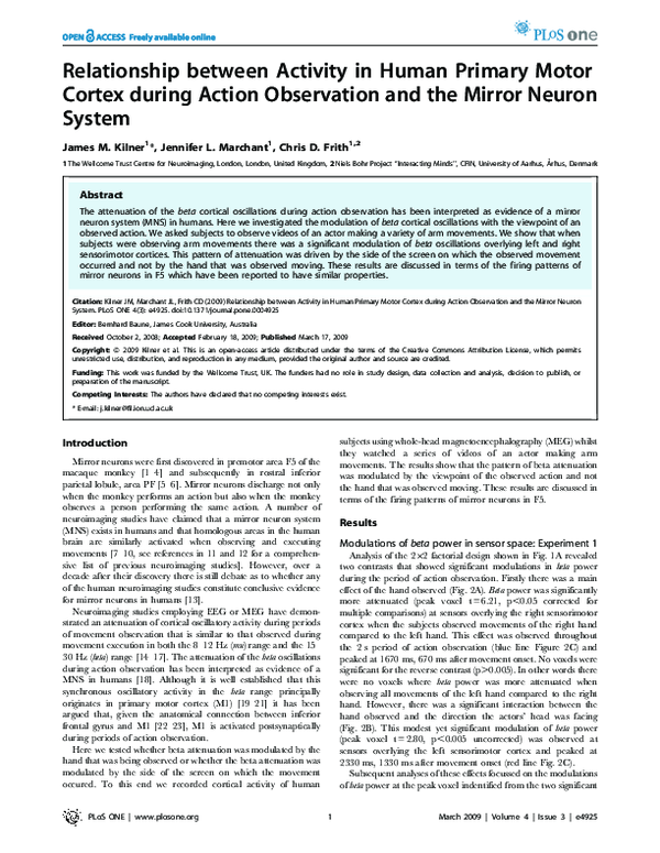 (PDF) Relationship between Activity in Human Primary Motor Cortex ...