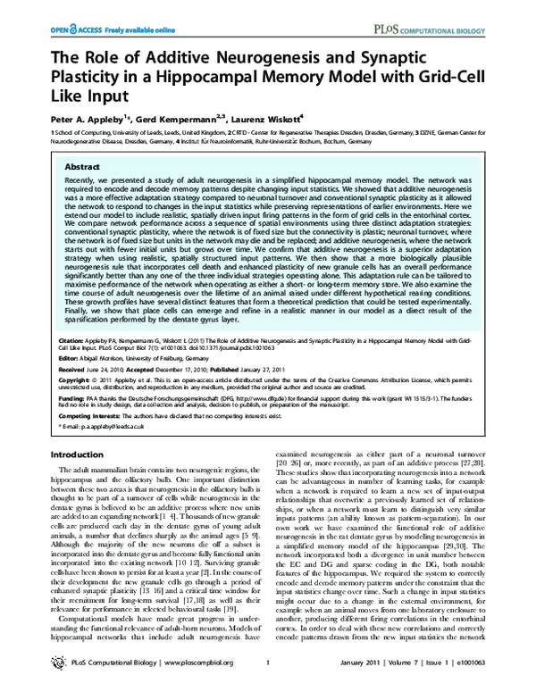 (PDF) The Role of Additive Neurogenesis and Synaptic Plasticity in a ...
