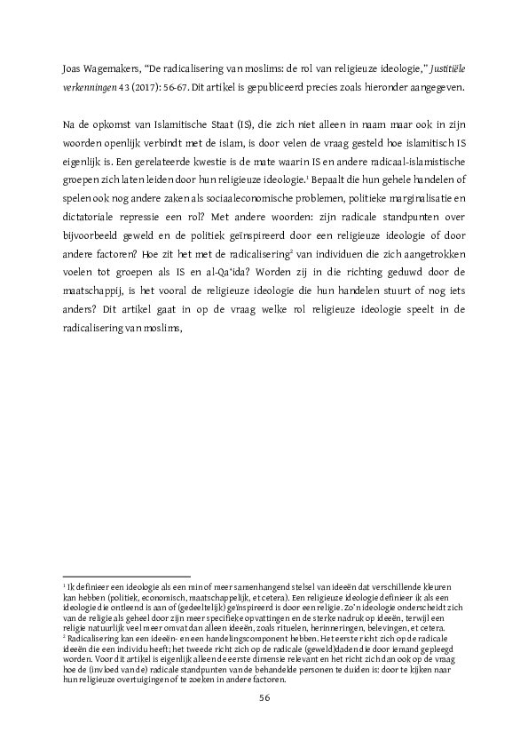 Essay radicalisering 02 image