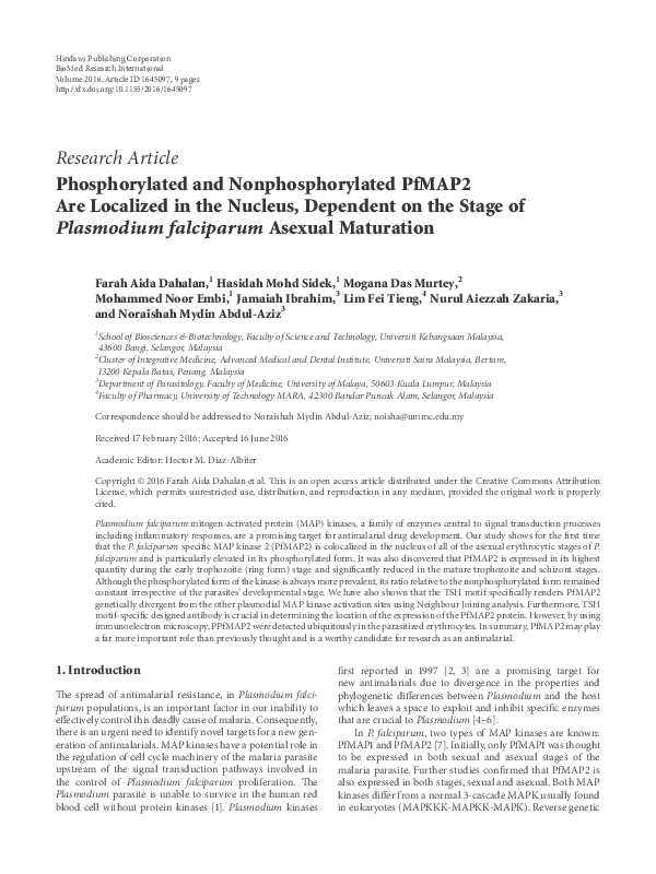 (PDF) Phosphorylated and Nonphosphorylated PfMAP2 Are Localized in the ...
