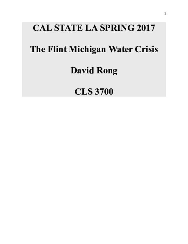 (DOC) The Flint Michigan Water Crisis David Lagu Academia.edu