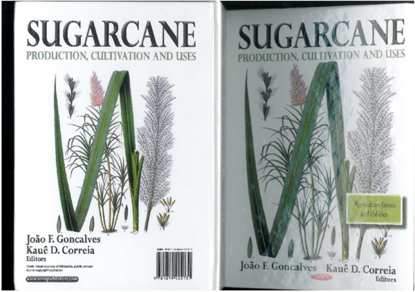 (PDF) Random forest regression for sugarcane yield predication in ...