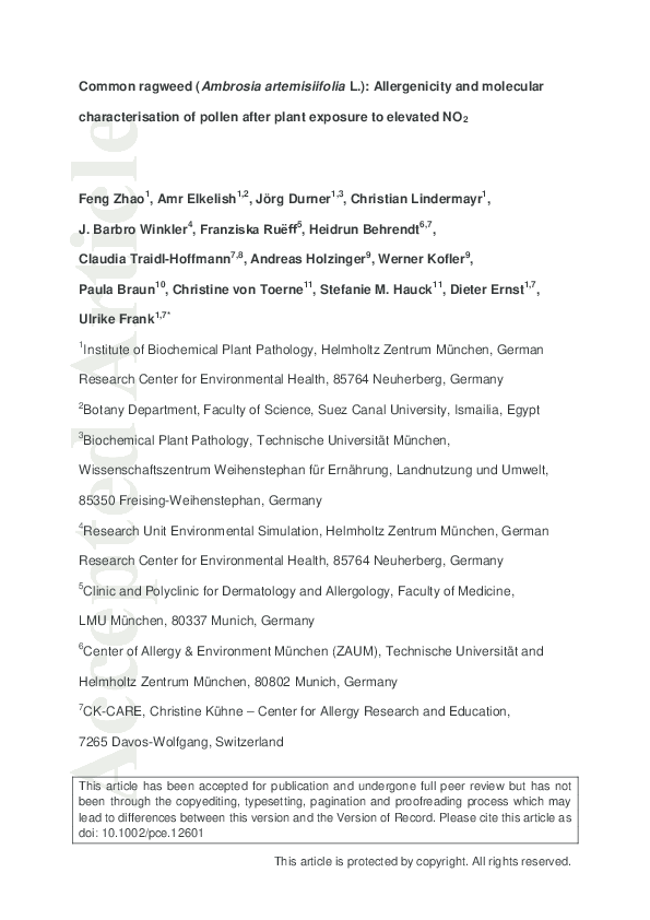 Ragweed allergy test picture