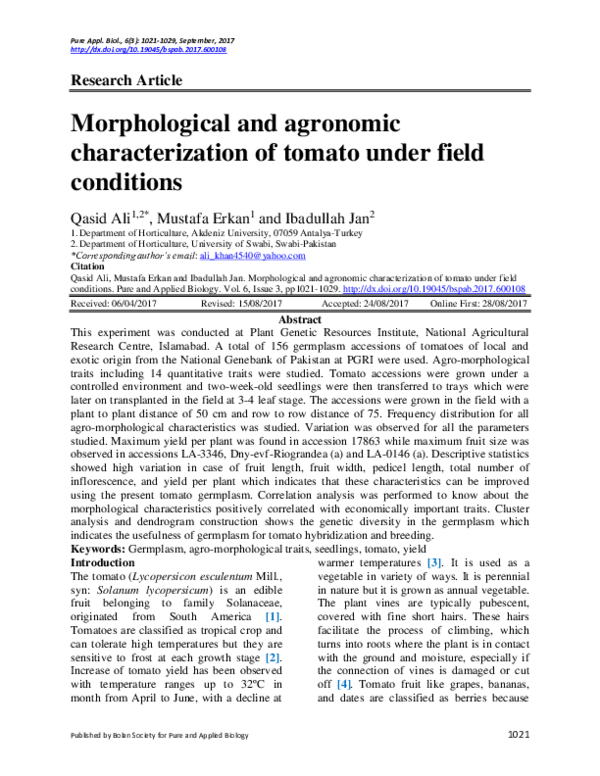 (PDF) Morphological and agronomic characterization of tomato under ...