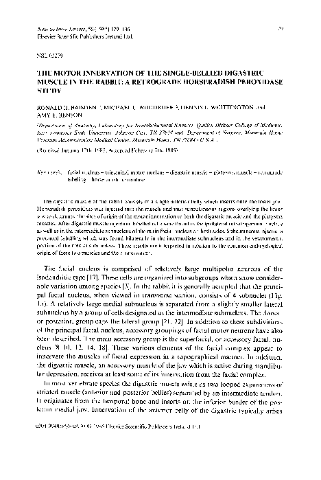 (PDF) The motor innervation of the single-bellied digastric muscle in ...