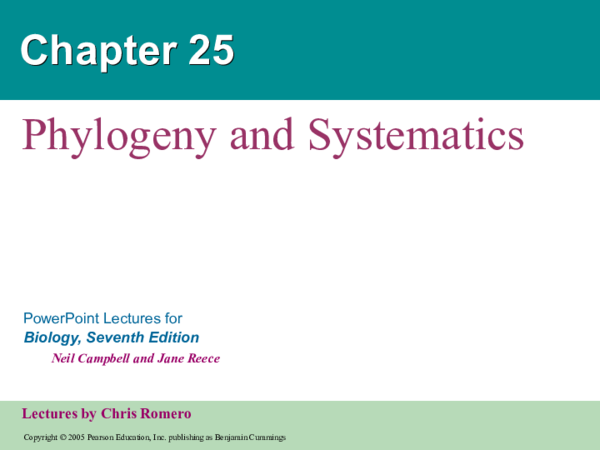 (PPT) 25 PHYLOGENY AND SYSTEMATICS.ppt