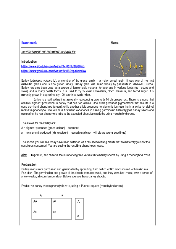 Research paper on barley picture