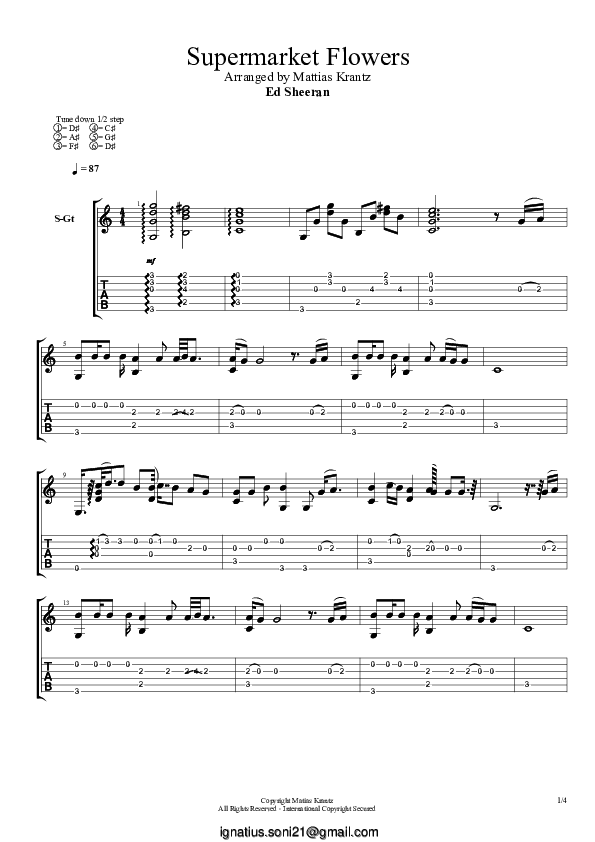 (PDF) Supermarket Flowers Ignatius Soni Academia.edu