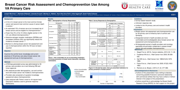 (PPT) Breast Cancer Risk Assessment and Chemoprevention Use Among VA ...