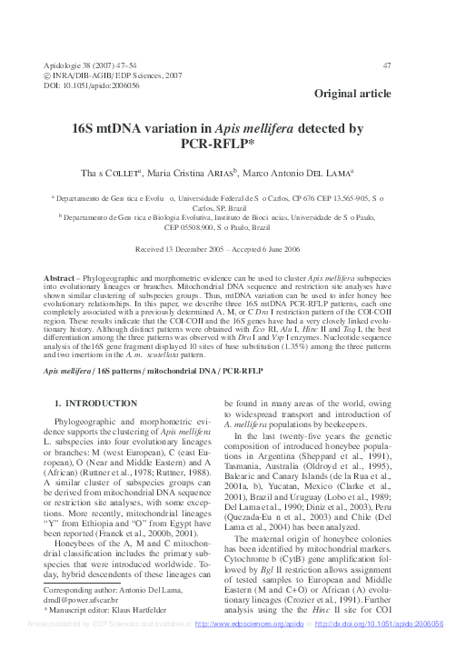 (PDF) 16S mtDNA variation in Apis mellifera detected by PCR-RFLP