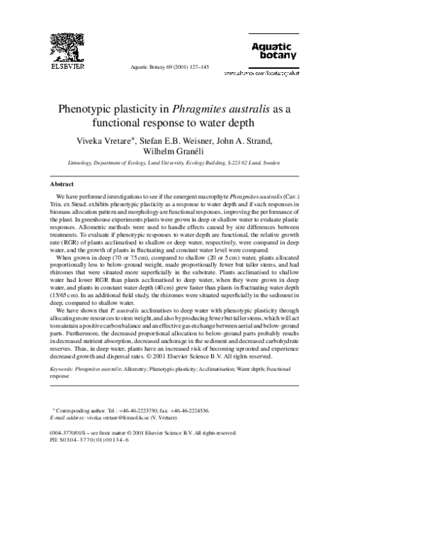 (PDF) Phenotypic plasticity in Phragmites australis as a functional ...