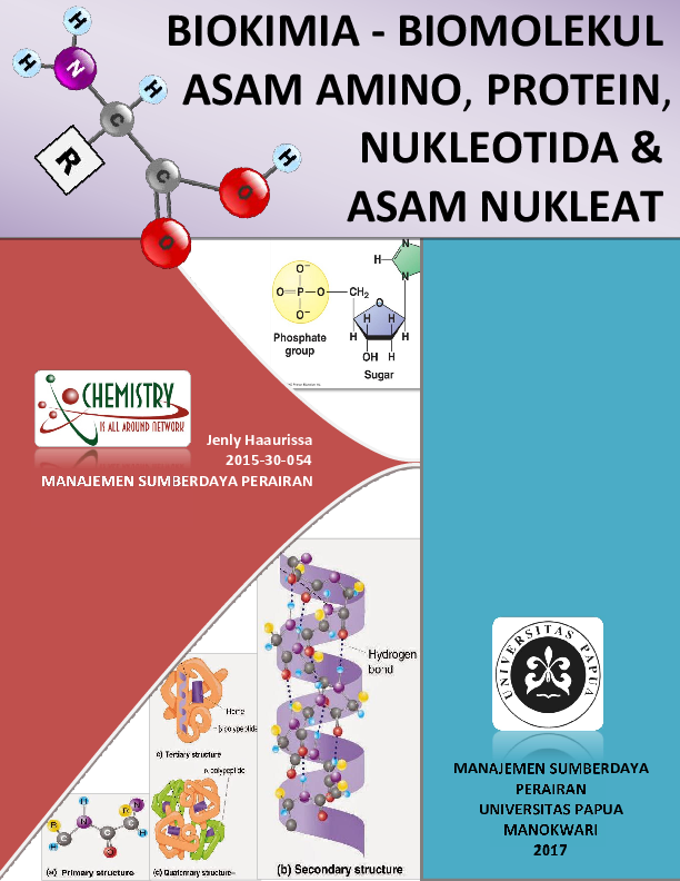 Soal essay metabolisme protein 07 picture