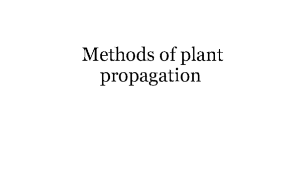 (PPT) Methods of plant propagation