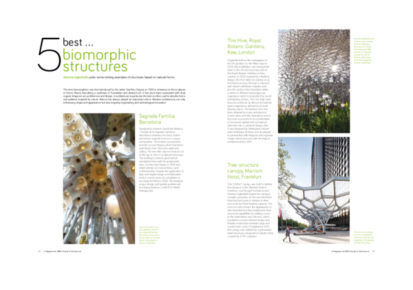 (PDF) 5 best...biomorphic structures