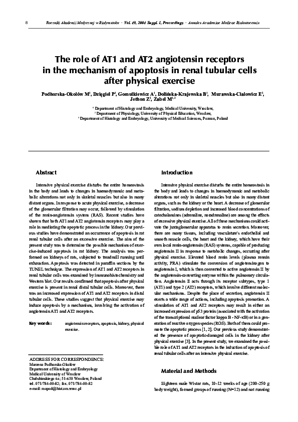 (PDF) The role of AT1 and AT2 angiotensin receptors in the mechanism of ...