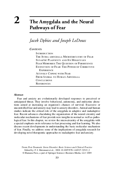 (PDF) The Amygdala and the Neural Pathways of Fear
