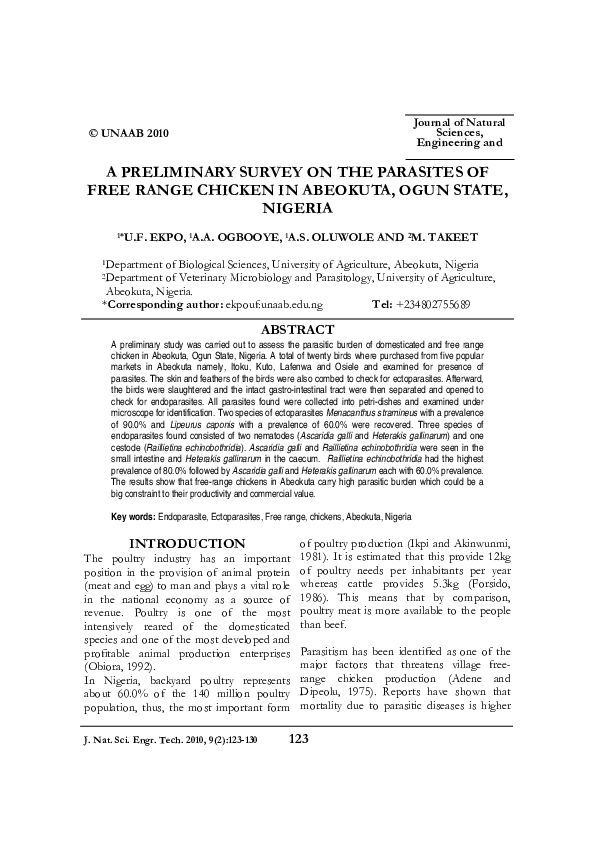 Ogun essay 05 picture