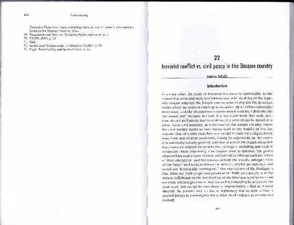 Basque conflict essay image