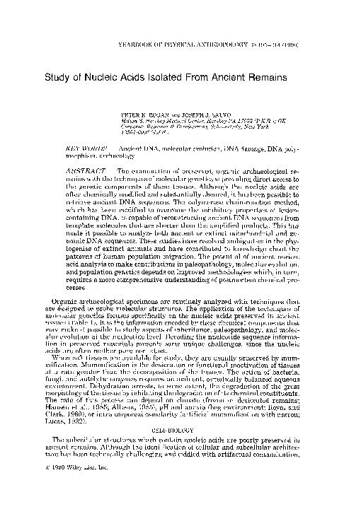 (PDF) Study of nucleic acids isolated from ancient remains