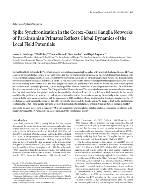 (PDF) Spike synchronization in the cortex-basal ganglia network of ...