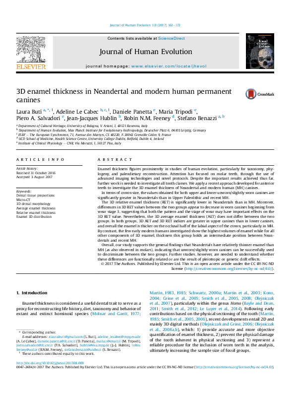 (PDF) 3D enamel thickness in Neandertal and modern human permanent canines