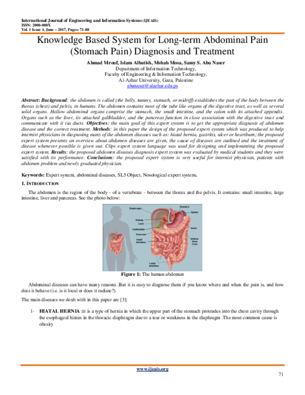 (PDF) Knowledge Based System for Longterm Abdominal Pain