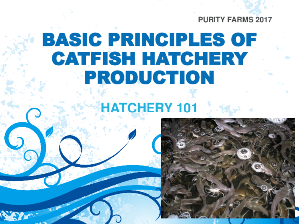  PPT BASIC PRINCIPLES OF CATFISH HATCHERY PRODUCTION Purity Farms 