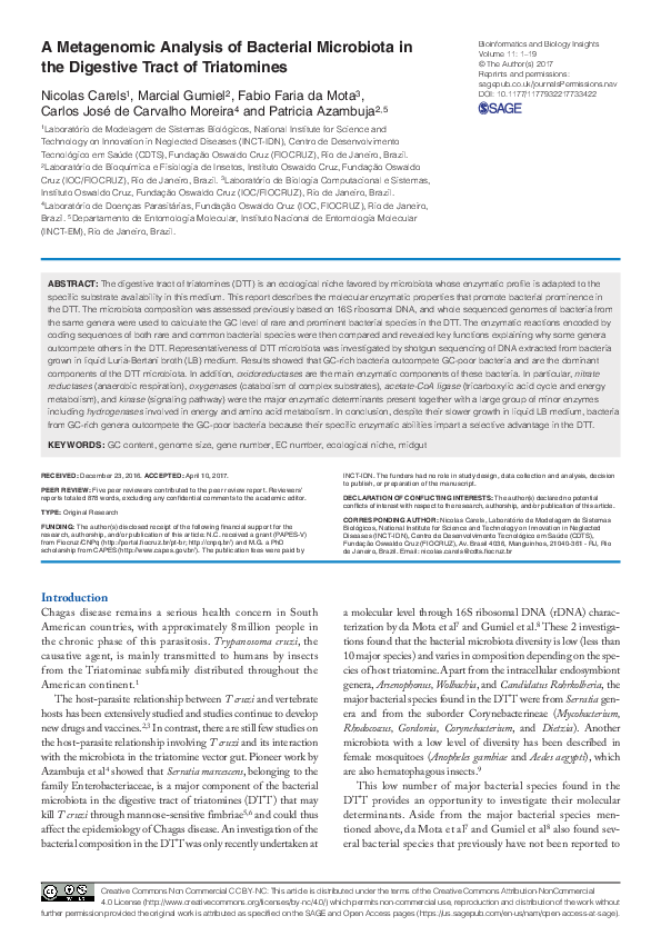 (PDF) A Metagenomic Analysis of Bacterial Microbiota in the Digestive ...