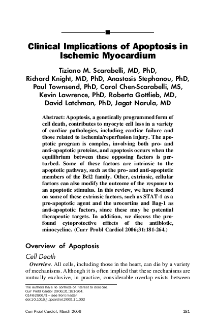 Apoptosis essay picture