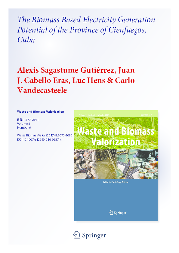 (PDF) Waste and Biomass Valorization The Biomass Based Electricity ...
