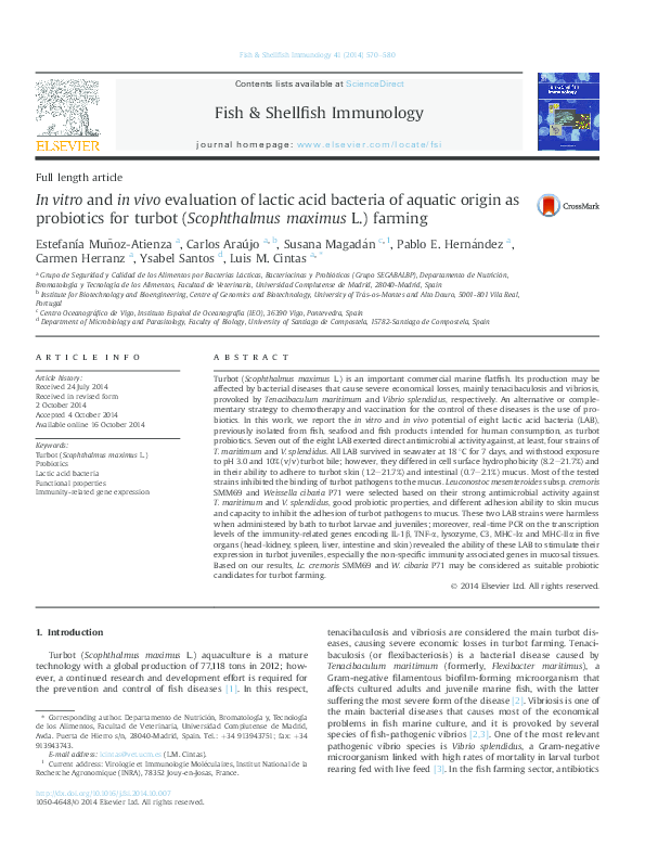 (PDF) In vitro and in vivo evaluation of lactic acid bacteria of ...