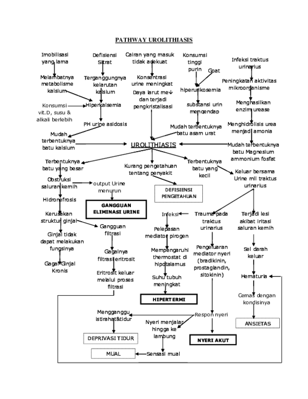 Pathway Urolithiasis