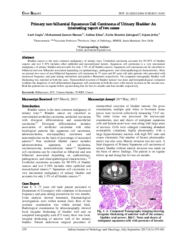 (PDF) Primary non-bilharzial Squamous Cell Carcinoma of Urinary Bladder ...