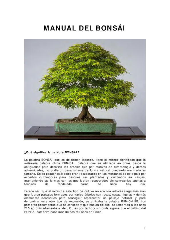 (PDF) MANUAL DEL BONSÁI ¿Qué significa la palabra BONSÁI felipe