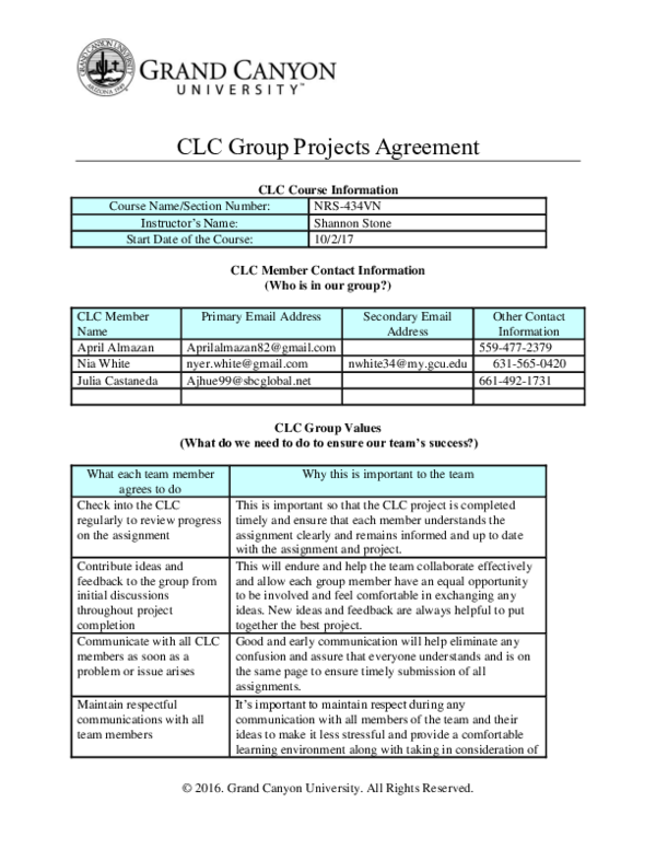 (DOC) CLC Group Projects Agreement julia Castaneda Academia.edu