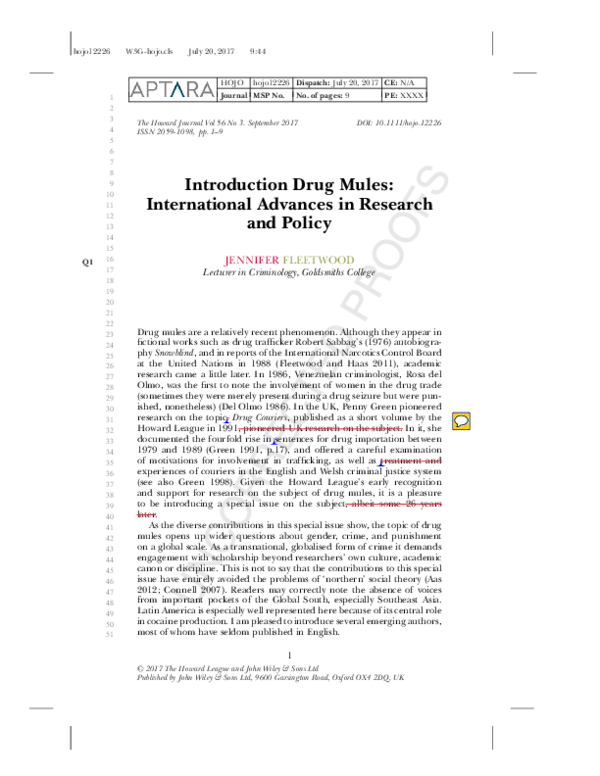 Drug mules are also called drug couriers image