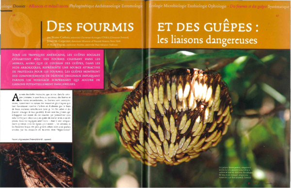 (PDF) Des fourmis et des guêpes: les liaisons dangereuses
