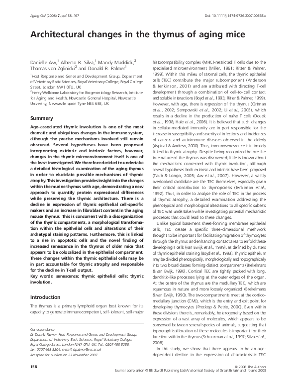 (PDF) Architectural changes in the thymus of aging mice