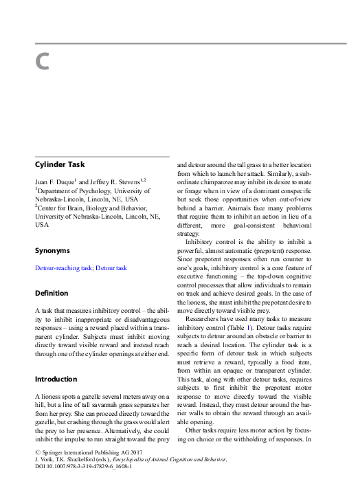 (PDF) Cylinder Task