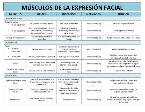 (DOC) MÚSCULO DE LA EXPRESIÓN FACIAL