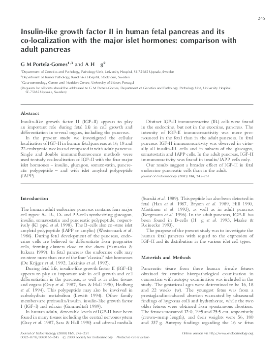(PDF) Insulin-like growth factor II in human fetal pancreas and its co ...