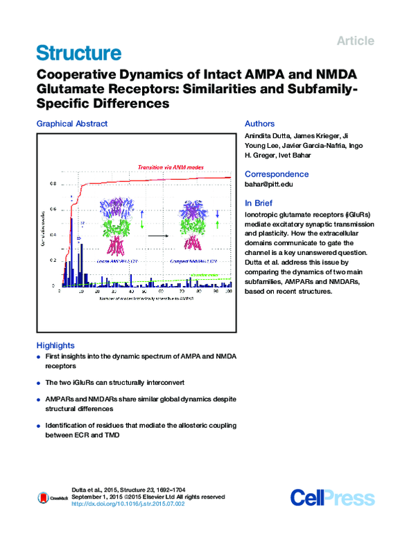 (PDF) Cooperative Dynamics of Intact AMPA and NMDA Glutamate Receptors ...