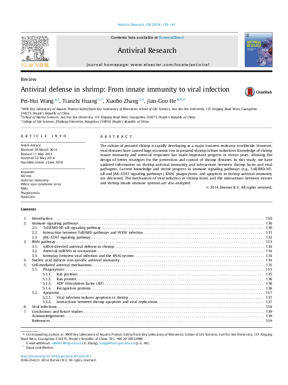 (PDF) Antiviral defense in shrimp: From innate immunity to viral infection