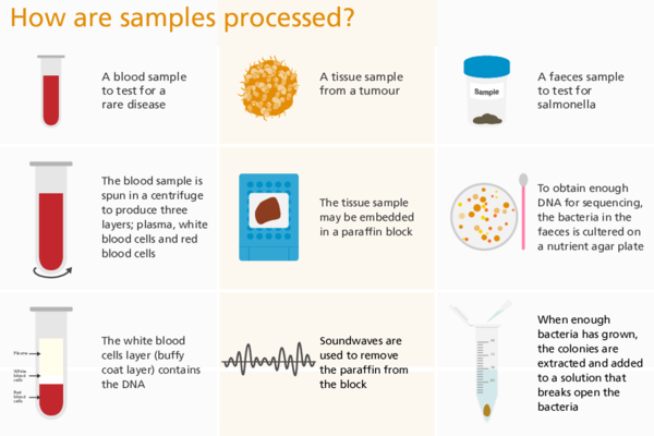 (PDF) How are samples processed