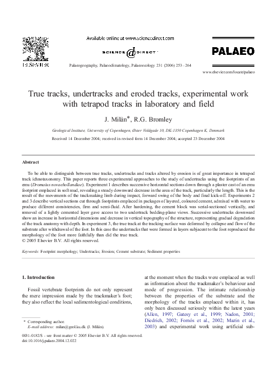 (PDF) True tracks, undertracks and eroded tracks, experimental work ...