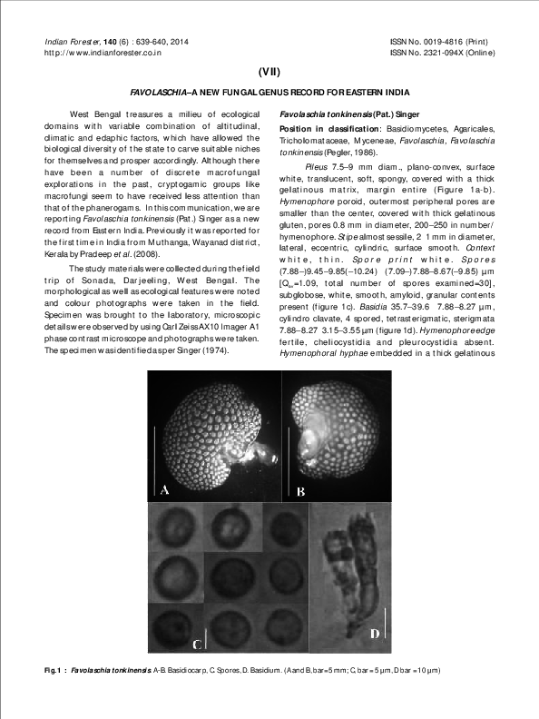 (PDF) Favolaschia-a new fungal genus record for Eastern India