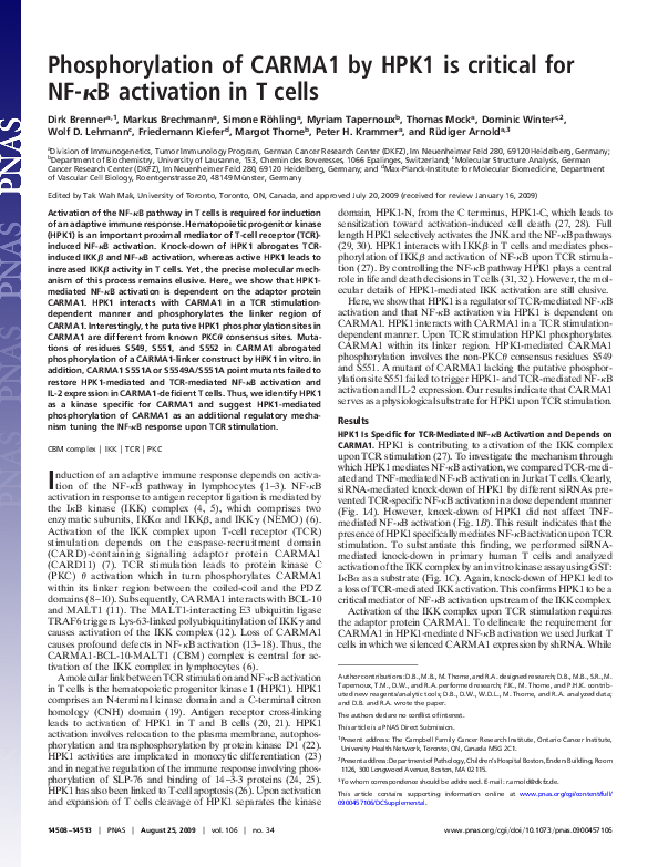 (PDF) Phosphorylation of CARMA1 by HPK1 is critical for NF- B ...